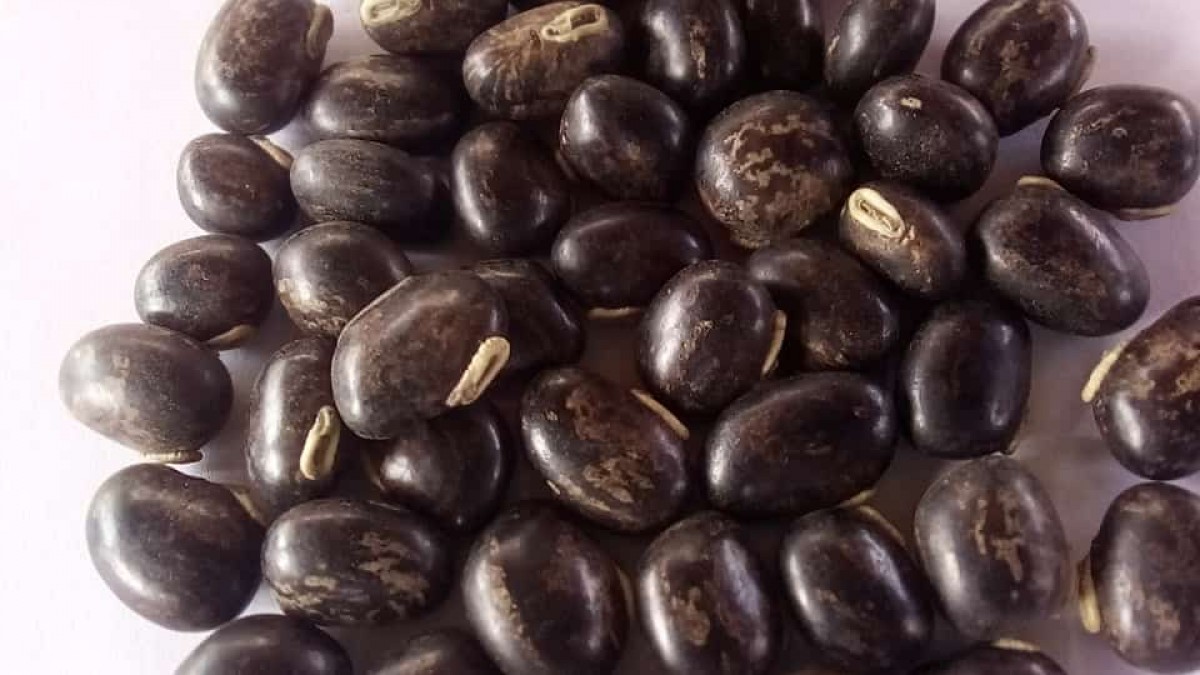Fagioli Velluto from Zambia